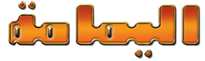              (  )